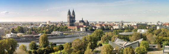 Enviro Schädlingsbekämpfung für Magdeburg und Umgebung