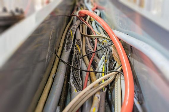 Ratten Gefahr minimieren - kaputte Kabel - Enviro Pest Control GmbH