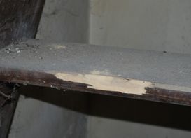 befallene Treppe durch Holzwurm