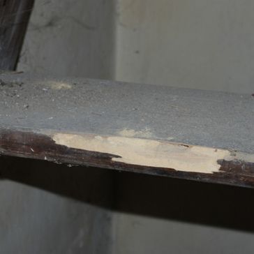 befallene Treppe durch Holzwurm